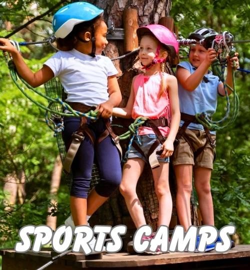 Sports camps